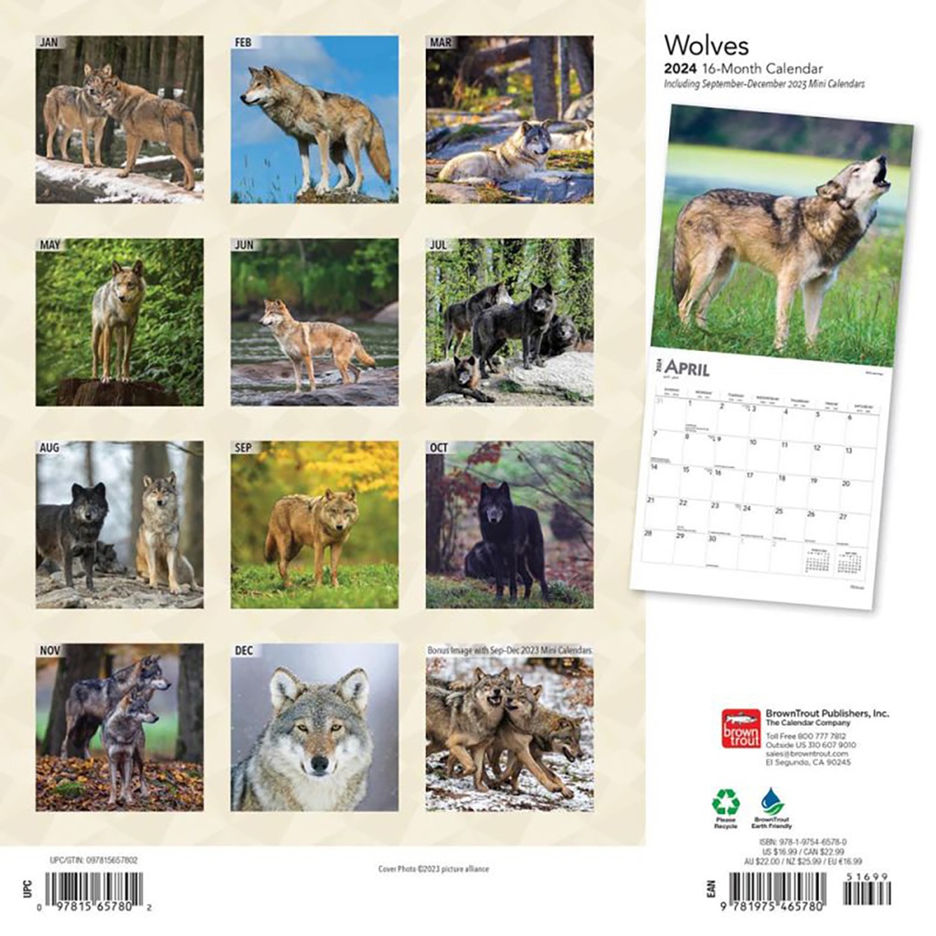 Wolves 2025 Calendar Ryft